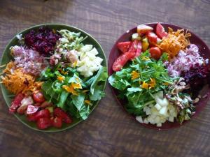 Amanida realitzada amb les nostres hortalisses