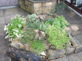 Espiral d'herbes aromàtiques. Ús òptim d'un espai reduït.