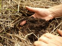 CURSOS D'HORTICULTURA NATURAL