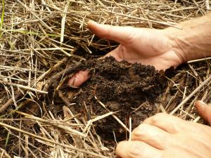 CURSOS D'HORTICULTURA NATURAL