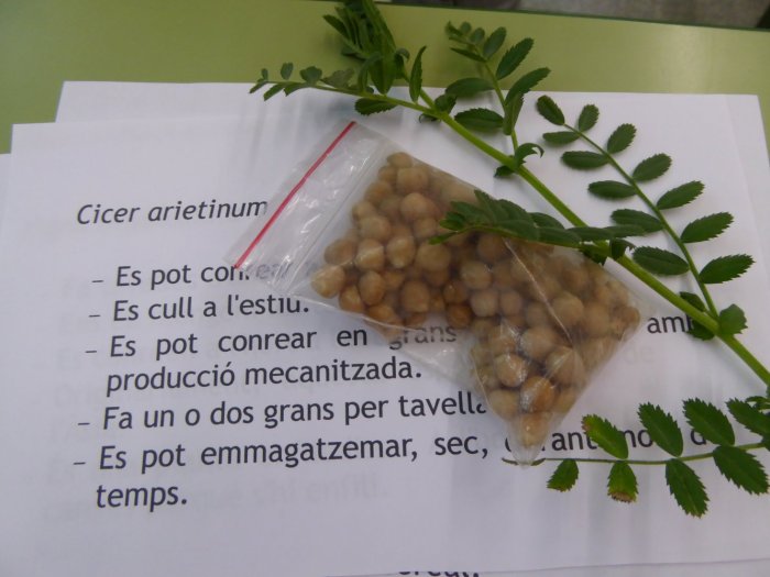 TINC CONEIXEMENTS TEÒRICS i vull passar a la pràctica