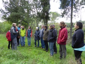 Visita guiada - 5 de març